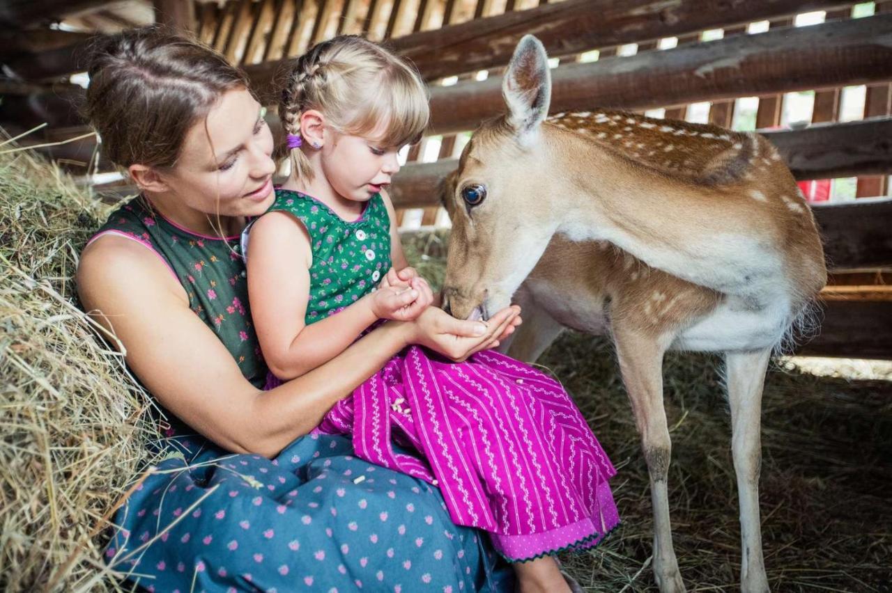 Apartmán Haus Montana Lermoos Exteriér fotografie